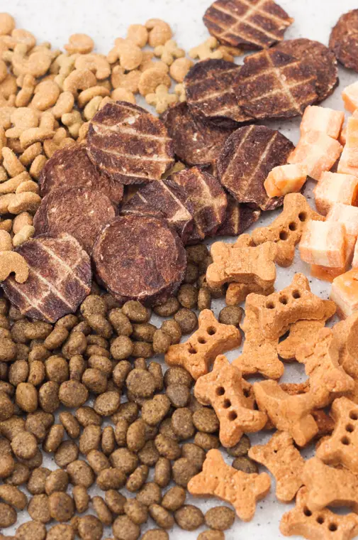 Food and Beverage Brochure