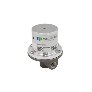 Back Pressure Relief Valve